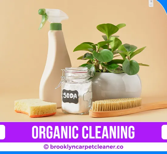 carpet cleaning in brooklyn, carpet cleaning in Brooklyn, carpet cleaning brooklyn, carpet cleaners in brooklyn, carpet cleaners in Brooklyn, commercial carpet cleaning, commercial carpet cleaning in brooklyn, brooklyn rug cleaners, rug cleaning services in brooklyn, same day carpet cleaning, same day rug cleaning